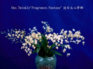 Onc. Twinkle Fragrance Fantasy
